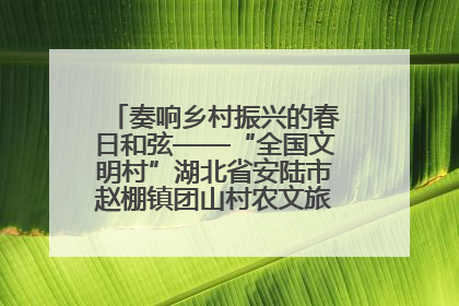 奏响乡村振兴的春日和弦——“全国文明村”湖北省安陆市赵棚镇团山村农文旅融合发展见闻