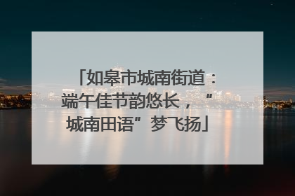 如皋市城南街道：端午佳节韵悠长，“城南田语”梦飞扬