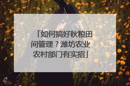 如何搞好秋粮田间管理？潍坊农业农村部门有实招