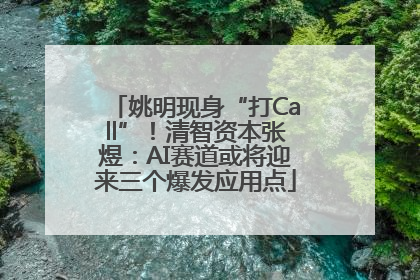 姚明现身“打Call”！清智资本张煜：AI赛道或将迎来三个爆发应用点