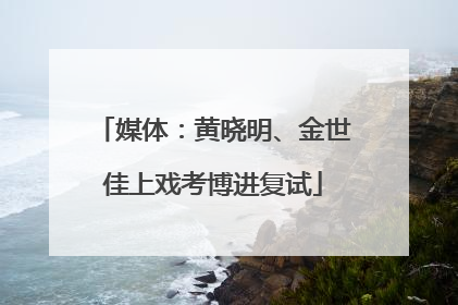 媒体：黄晓明、金世佳上戏考博进复试