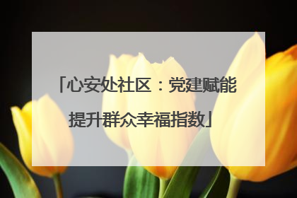 心安处社区：党建赋能 提升群众幸福指数
