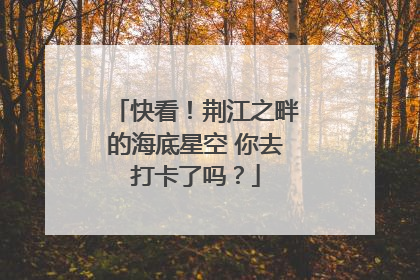 快看！荆江之畔的海底星空 你去打卡了吗？