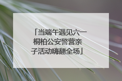 当端午遇见六一 桐柏公安警营亲子活动嗨翻全场