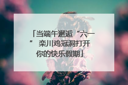 当端午邂逅“六一” 栾川鸡冠洞打开你的快乐假期