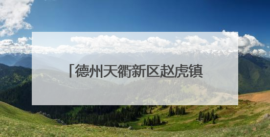 德州天衢新区赵虎镇聘乡村振兴“智囊团” 绘就发展新蓝图