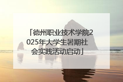 德州职业技术学院2025年大学生暑期社会实践活动启动