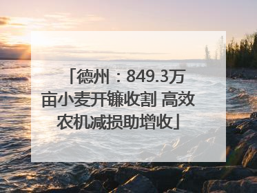 德州：849.3万亩小麦开镰收割 高效农机减损助增收