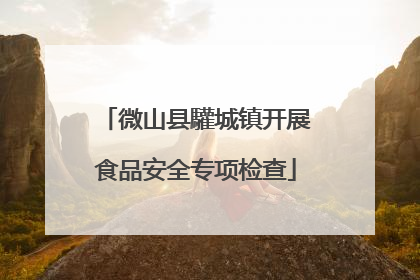 微山县驩城镇开展食品安全专项检查