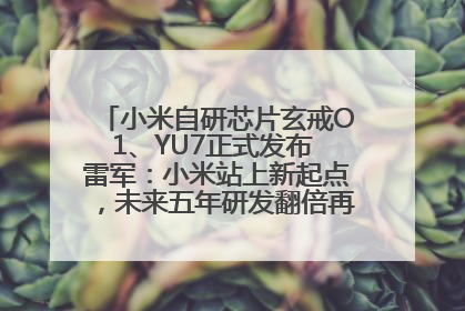 小米自研芯片玄戒O1、YU7正式发布 雷军：小米站上新起点，未来五年研发翻倍再投2000亿元