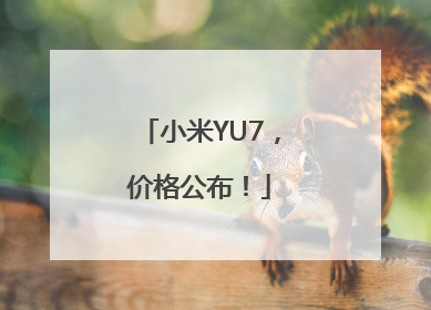 小米YU7，价格公布！