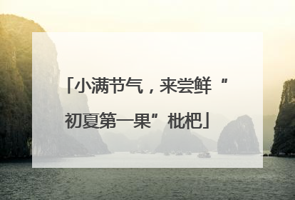 小满节气，来尝鲜“初夏第一果”枇杷