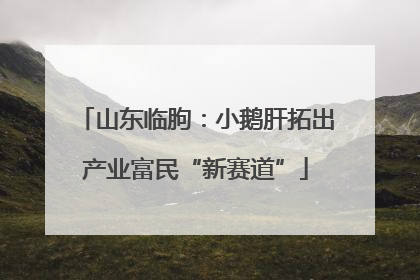 山东临朐：小鹅肝拓出产业富民“新赛道”