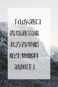 山东港口青岛港完成北方首单船舶生物燃料油加注