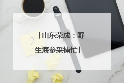 山东荣成：野生海参采捕忙