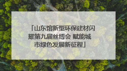 山东馆新型环保建材闪耀第九届丝博会 赋能城市绿色发展新征程