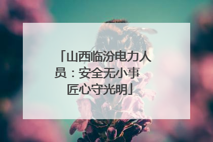 山西临汾电力人员：安全无小事 匠心守光明