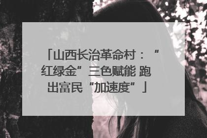 山西长治革命村：“红绿金”三色赋能 跑出富民“加速度”