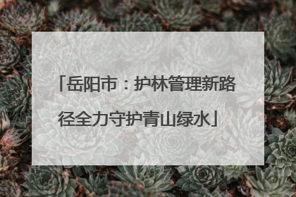 岳阳市：护林管理新路径全力守护青山绿水
