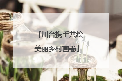 川台携手共绘美丽乡村画卷