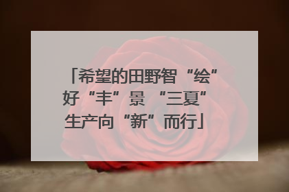 希望的田野智“绘”好“丰”景 “三夏”生产向“新”而行