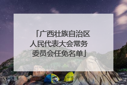 广西壮族自治区人民代表大会常务委员会任免名单