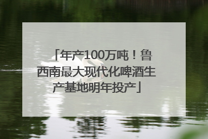 年产100万吨！鲁西南最大现代化啤酒生产基地明年投产