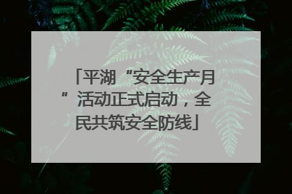 平湖“安全生产月”活动正式启动，全民共筑安全防线