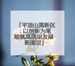 平顶山高新区：以创新为笔 绘就高质量发展新图景