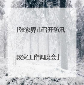张家界市召开防汛救灾工作调度会