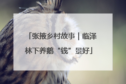 张掖乡村故事｜临泽林下养鹅“钱”景好