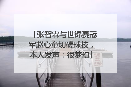 张智霖与世锦赛冠军赵心童切磋球技，本人发声：很梦幻