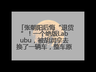 张朝阳后悔“退货”！一个绝版Labubu，被胡润拿去换了一辆车，整车原价值上百万元