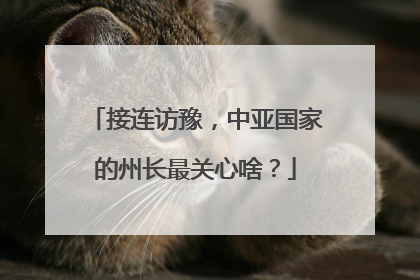 接连访豫，中亚国家的州长最关心啥？