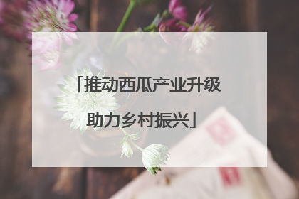 推动西瓜产业升级 助力乡村振兴