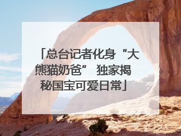 总台记者化身“大熊猫奶爸” 独家揭秘国宝可爱日常