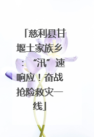 慈利县甘堰土家族乡：“汛”速响应！奋战抢险救灾一线