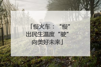 慢火车：“慢”出民生温度“驶”向美好未来