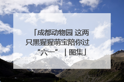 成都动物园 这两只黑猩猩萌宝陪你过“六一”｜图集