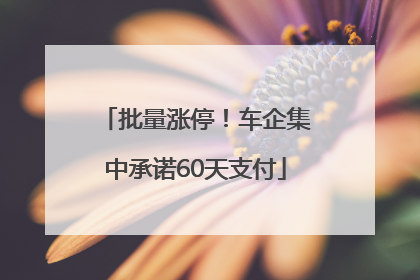批量涨停！车企集中承诺60天支付