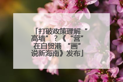 打破政策理解“高墙”？《“营”在自贸港 “画”说新海南》发布