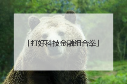 打好科技金融组合拳