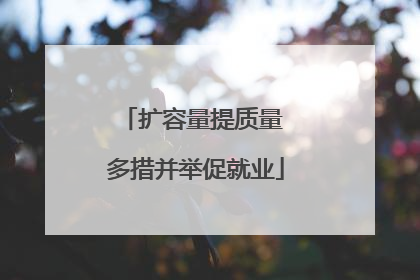 扩容量提质量 多措并举促就业
