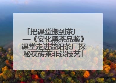 把课堂搬到茶厂——《安化黑茶品鉴》课堂走进益阳茶厂探秘茯砖茶非遗技艺