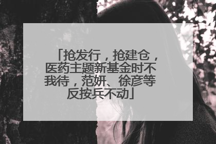 抢发行，抢建仓，医药主题新基金时不我待，范妍、徐彦等反按兵不动
