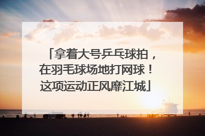 拿着大号乒乓球拍，在羽毛球场地打网球！这项运动正风靡江城