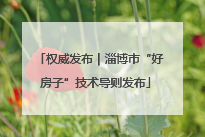 权威发布｜淄博市“好房子”技术导则发布