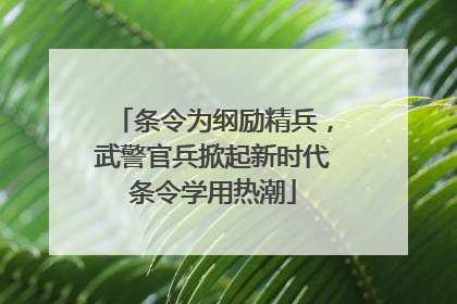 条令为纲励精兵，武警官兵掀起新时代条令学用热潮