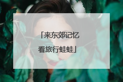 来东郊记忆 看旅行蛙蛙
