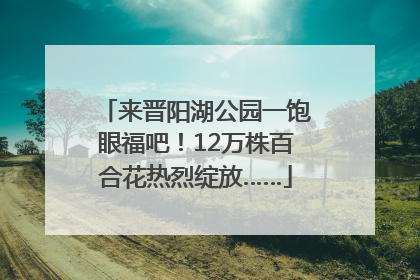 来晋阳湖公园一饱眼福吧！12万株百合花热烈绽放……